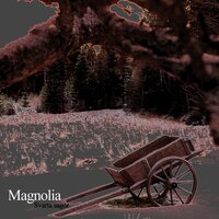 Tungt Faller Regnet - Magnolia
