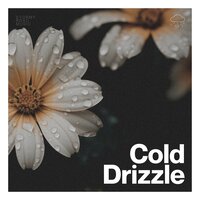 Recommend the Rainfall - Nature & Sounds Backgrounds
