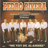 Nunca Dejes Pa' Mañana - Pedro Rivera