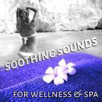 Touch (Massage Music) - SPA & Wellness Massage Masters