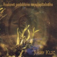 Slabomyslný? Nešťastný! - Josef Klíč