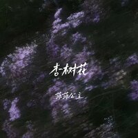 杏树花 - 菲菲公主