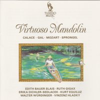 Duo for Mandolin and Guitar, Op. 85/2: II. Allegro vivace - Edith Bauer Slais & Walter Würdinger & Norbert Sprongel