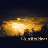 Hands Failling Asleep - Deep Sleep Relaxation Universe