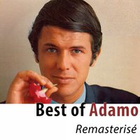 En blue jeans et blouson de cuir - Salvatore  Adamo