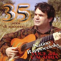 Disco revival folk - Natino Rappocciolo