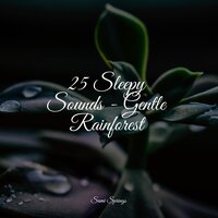 Under Glass - Masters of Binaurality & Rain Drops for Sleep & Sleep Sounds Rain
