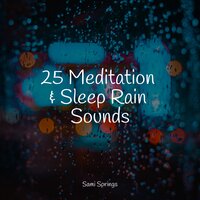 Soft Window Rains - Meditation & ReGen & Nature's Symphony