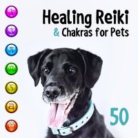 Reducing Stress & Fear - Pet Care Club & Reiki Healing Zone