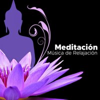 Meditación: Música de Fondo - Sleep n Love
