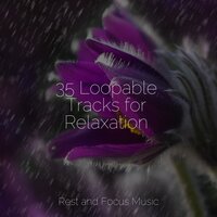 Galaxy Slumber - Nature Sounds Nature Music & Academia de Meditação Buddha & Study Concentration