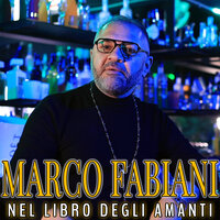 Nel libro degli amanti - Marco Fabiani