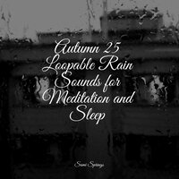 Ocean Waves (Medium) - Nature Sound Collection & Sleep Lullabies for Newborn & Trouble Sleeping Music Universe