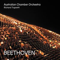 Symphony No. 5 in C Minor, Op. 67: 1. Allegro con brio - Australian Chamber Orchestra & Richard Tognetti & Ludwig van Beethoven