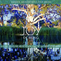 Edwards: Watching the Breath with counting (Maninyas) - Stuart Challender & Ann Calvert & Sydney Symphony Orchestra & Dene Olding