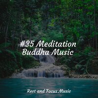 Leaves & Shoots - Academia de Música para Massagem e Relaxamento & Academia de Meditação Buddha & ZEN
