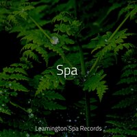 Calm and Serene - Sonidos de lluvia para dormir & FX & Effects & Binaural Beats Brain Waves Isochronic Tones Brain Wave Entertainment