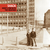 On the Terrace - Shack