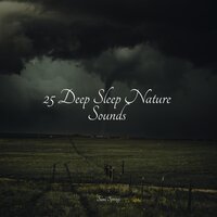 Drops in the Water - Crying & Colic Relief & Binaural Beats Brainwave Entrainment & Rain and Nature