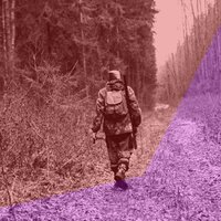Strange Forester - VeAsman