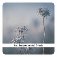 Loveliness - Violin and Piano Relax