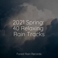 White Noise Waterfall - Mother Nature Sound FX & Ambient Music Therapy & Mother Nature FX