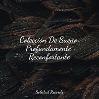 Silencio De Un Sueño - Canciones de Cuna Relax & Música De Relajación Para Dormir Profundamente & Meditacao Clube
