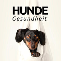 Inspirierende Musik - Schlaf Musik Prime