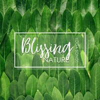 Nature Sounds - Meditation Music Masters