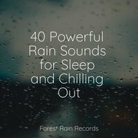 Birds in Rainforest Paradise - Sonido Del Bosque y Naturaleza & Ambient Music Therapy & Relaxing Nature Ambience