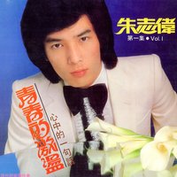 夕陽無限好 - 維也納樂隊 & 朱志偉