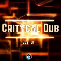 Holding Back - Critycal Dub
