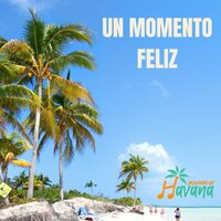 Ven Aquí a La Realidad - Sounds of Havana