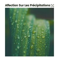 Son Pluie Et Orage - Sons De Pluie HD