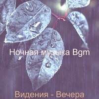 Музыка (Working) - Ночная музыка Bgm