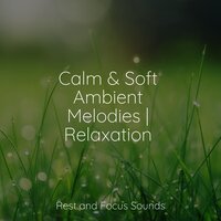 Love Relaxation - White Noise for Babies & Meditation & Relaxation Sleep Meditation