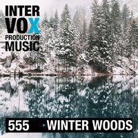 At Night in the Woods - Thomas Reil & Intervox Music