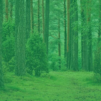 Spacious Music for Mood - Coffee House Jazz