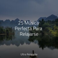 Planeta Calmado - Jazz Para Crianças & Sonido Del Bosque y Naturaleza & Meditación Maestro