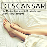 Fuente de Paz - Sonidos de la Naturaleza Relajacion & Bienestar Maestro