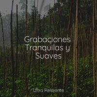 Arenas Más Cálidas - Musica Para Dormir Bebes & Sueños Triplete & Masaje Relajante Masters