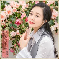 迎风的小鸟 - 蓉宝儿