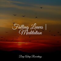 In Control - Relax Meditation Sleep & Pet Care Music Therapy & Chakra Meditation Universe