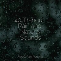 Singing Woods - Baby Sweet Dream & Fresh Water Sounds for Inner Peace & Kundalini: Yoga