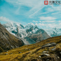 她走了 -小提琴 - 轻松音乐