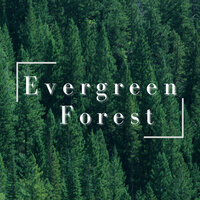 Greener Trees - Relaxing Bgm Project & Yui Kawahito