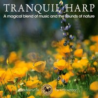 Lullaby for Asher - Nature's Harmony