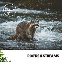 Crackling Embers Minuet - Dog Relaxation & Amazing Spa Music & Rivers and Streams