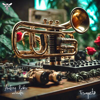 Trompeta - Andres Power & Outcode