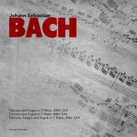Toccata and Fugue in D Minor, BWV 565 - Michael Schneider & Johann Sebastian Bach
